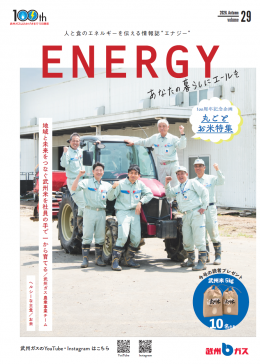 ENERGY vol.29