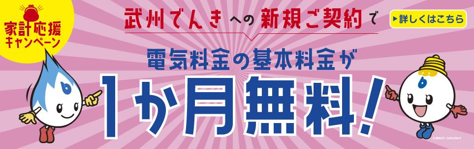 武州でんき1カ月基本料金無料キャンペーンのご案内_PC画像